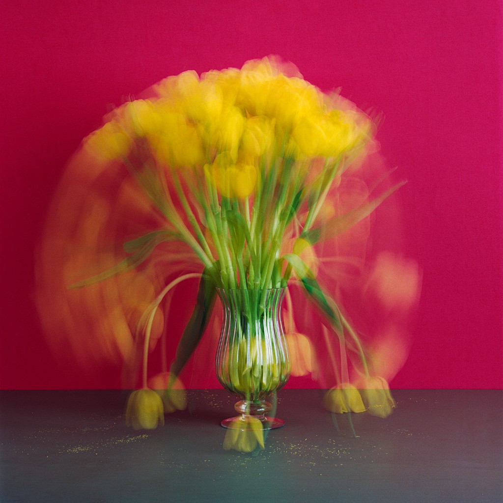 MICHAEL WESELY, B7936, Stilleben (27.3.-3.4.2020), C-Print – UltraSecG, 120 x 100 cm, Unikat