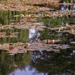 Giverny 18.03 - 20.06 Uhr,-25.6.2014, B6274